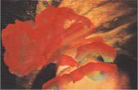 RED FOLD (GIORDANO), 2005, acrylic on digital print, 13 X 19 in