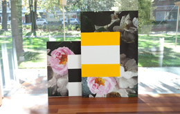 ROSES, photograph and paint on plywood (two panels), 117 x 109 x 7.5 cm