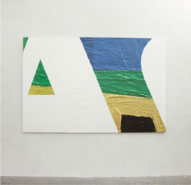 AS (Davis), 2009, acrylic on archival inkjet print on stretched linen, 57 x 86 in