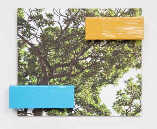 STILL FLOATING, 2010, acrylic enamel on wood on archival inkjet print on museum board, 12 x 14.75 x 2 in