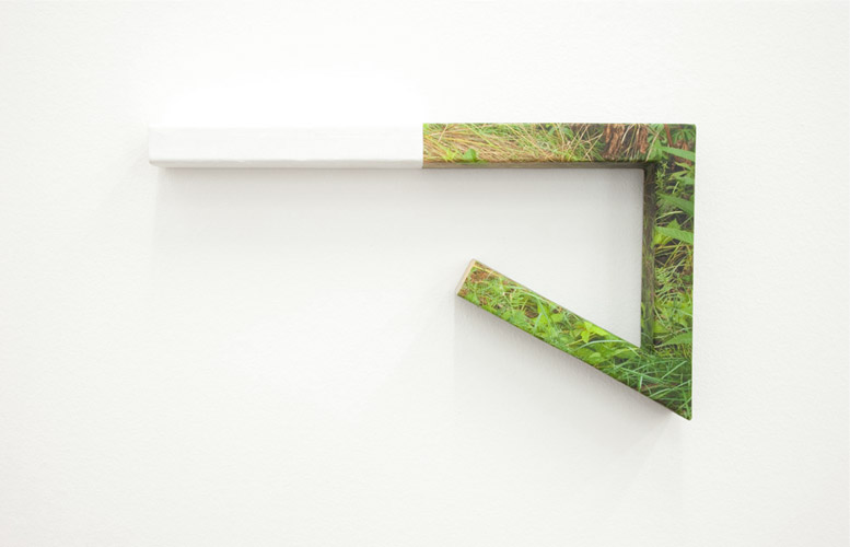 MEADOW, 2011 (edition of 5), Archival inkjet print and paint on wood, 22 x 13 in
