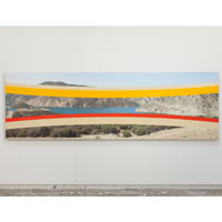 RESERVOIR, 2011, acrylic on paper on archival inkjet print on stretched linen, 43.5 x 139 inches