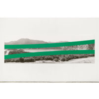 (Green) RESERVOIR, 2013, acrylic on archival inkjet print on stretched linen, 43 x 141 inches