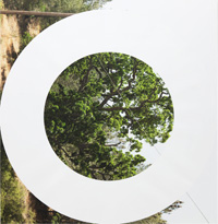 CIRCULAR, 2013, acrylic on archival inkjet print on stretched linen, 85 x 84 inches